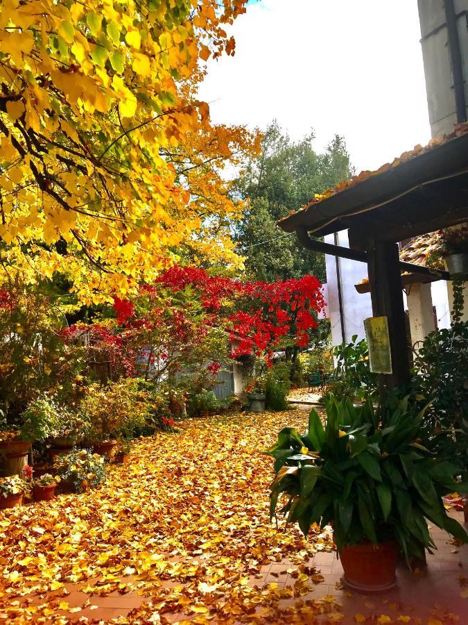 Stella Polare B&B รีเอติ ภายนอก รูปภาพ