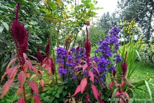 Stella Polare B&B รีเอติ ภายนอก รูปภาพ